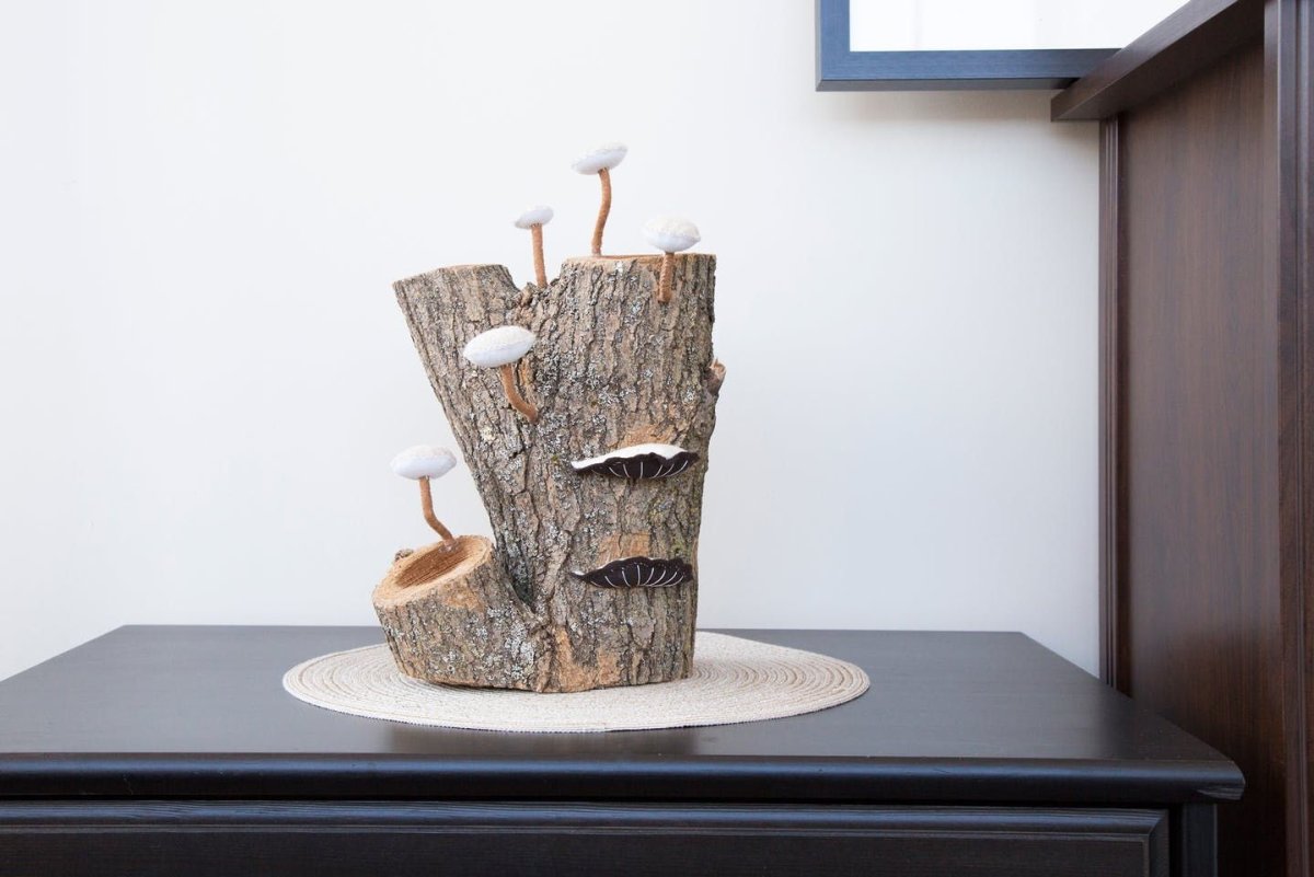 Столик из пня в интерьере