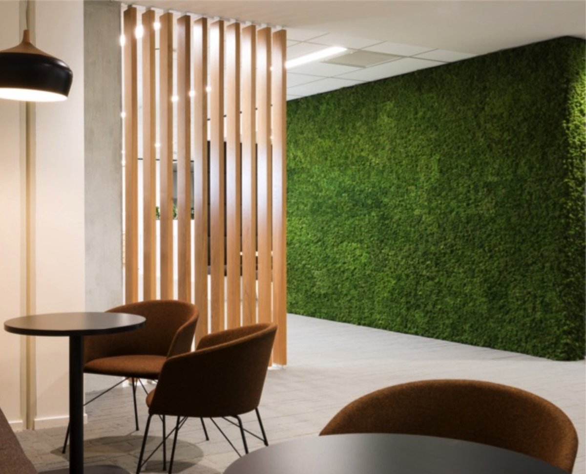 Рейки и мох на стене