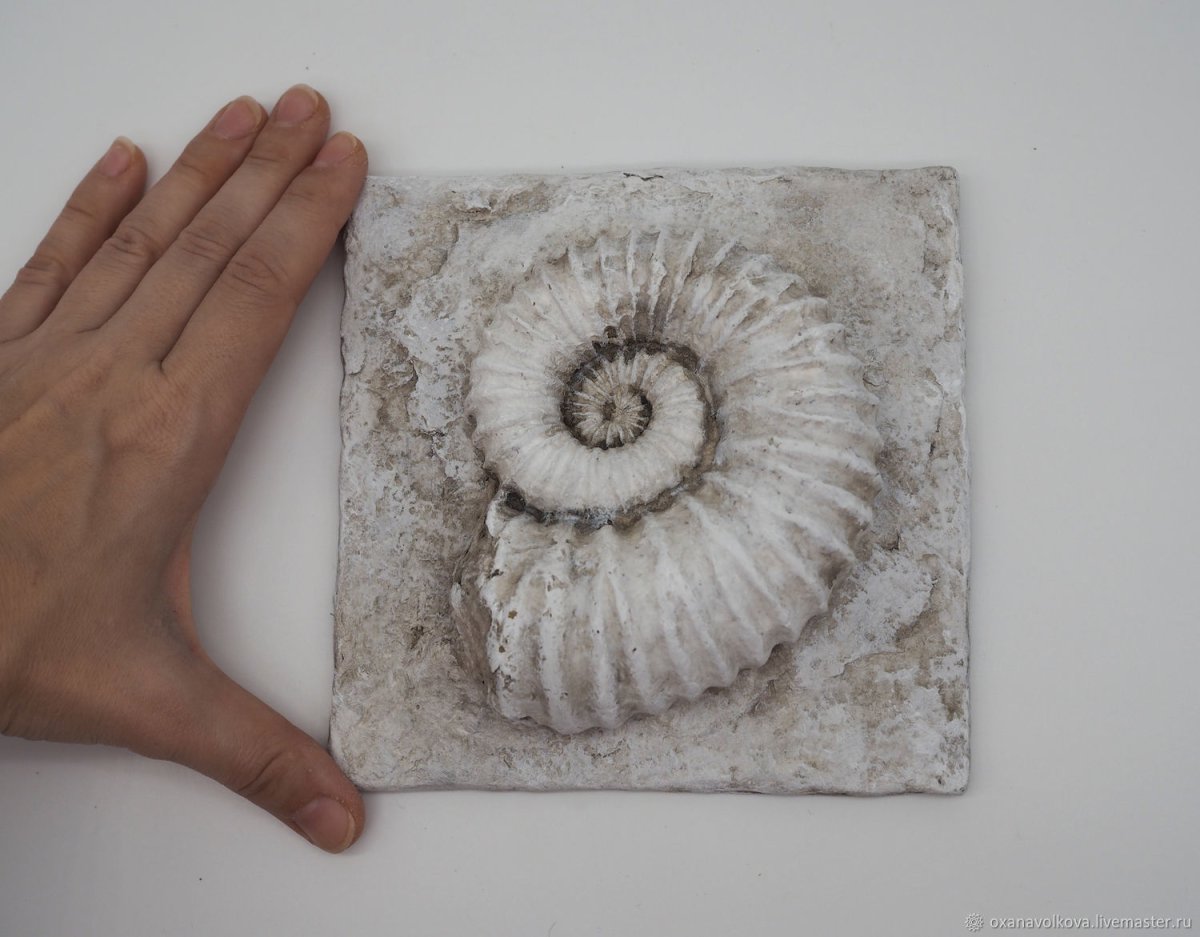 Панно из ракушек