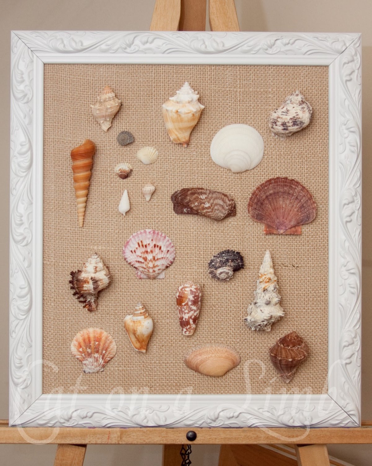 Картина Ракушка