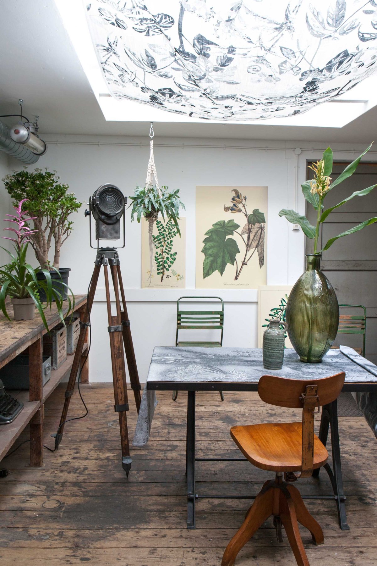 Цветы в интерьере