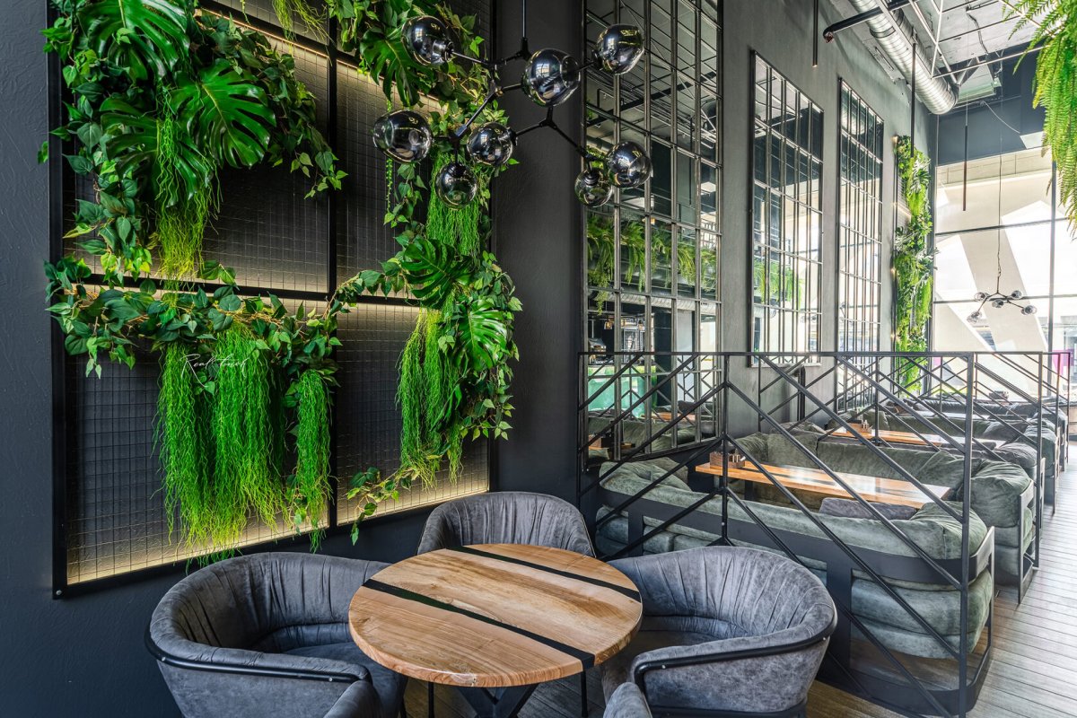 Живые растения в интерьере