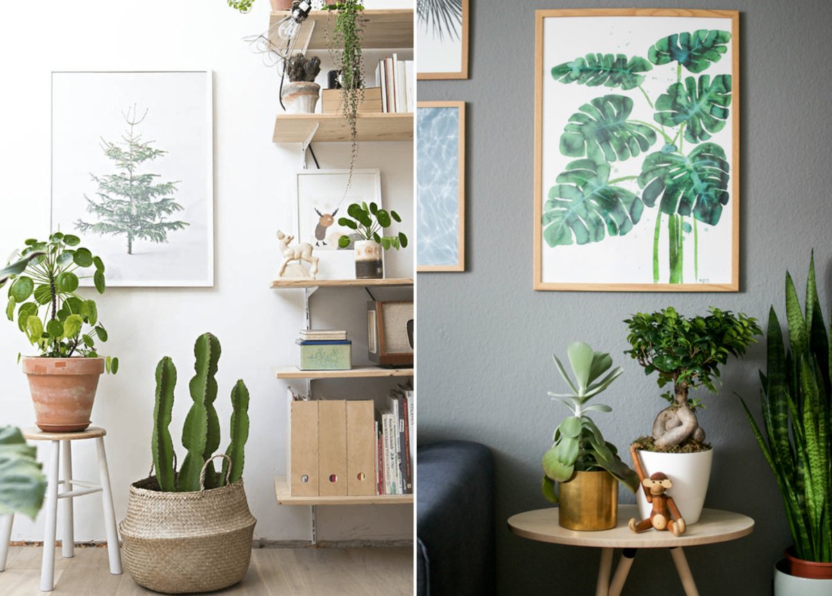 Стиль ботаника в интерьере