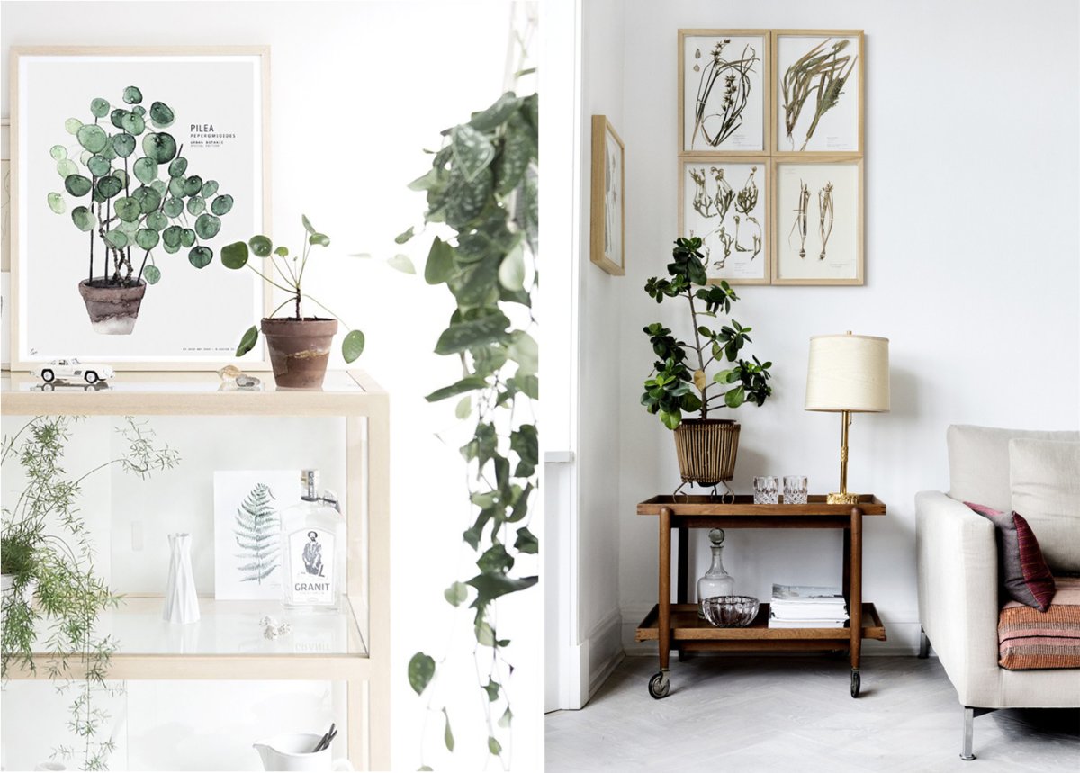 Cole and son Fern 115 7022