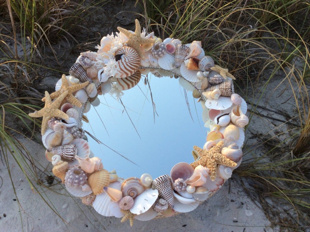 Набор ракушек