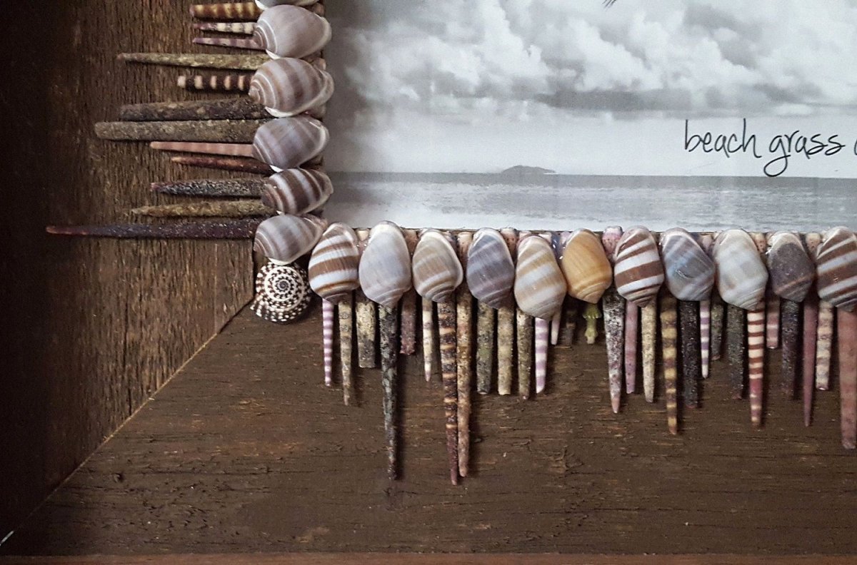 Композиции из ракушек для интерьера