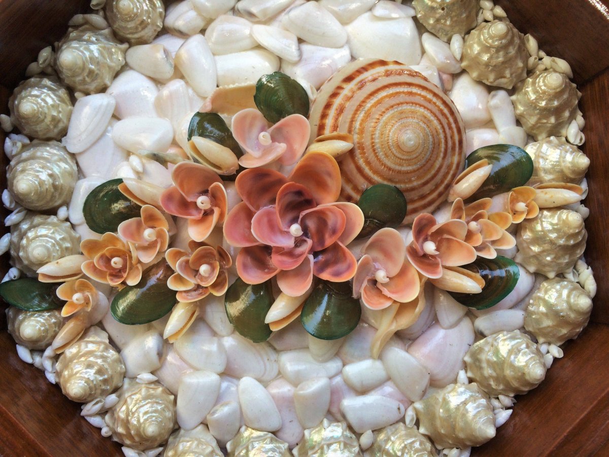 Картины из ракушек своими руками