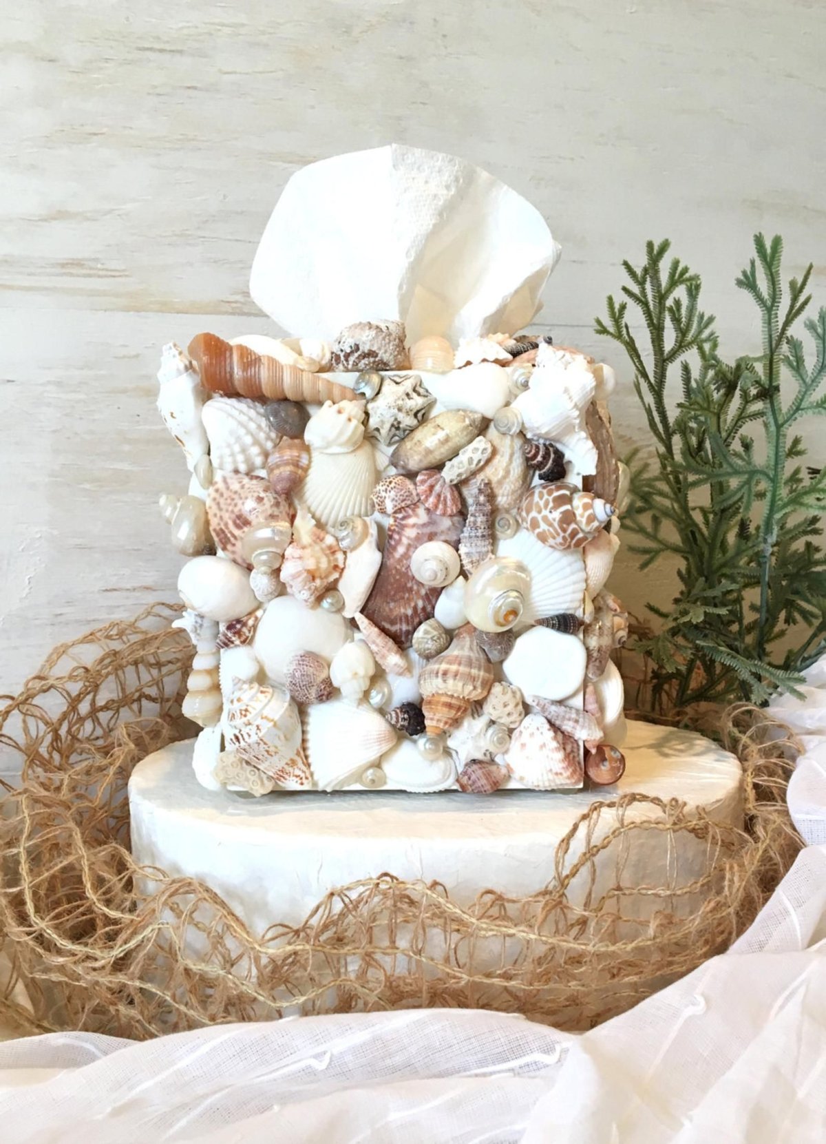 Декор для дома ракушками на стене