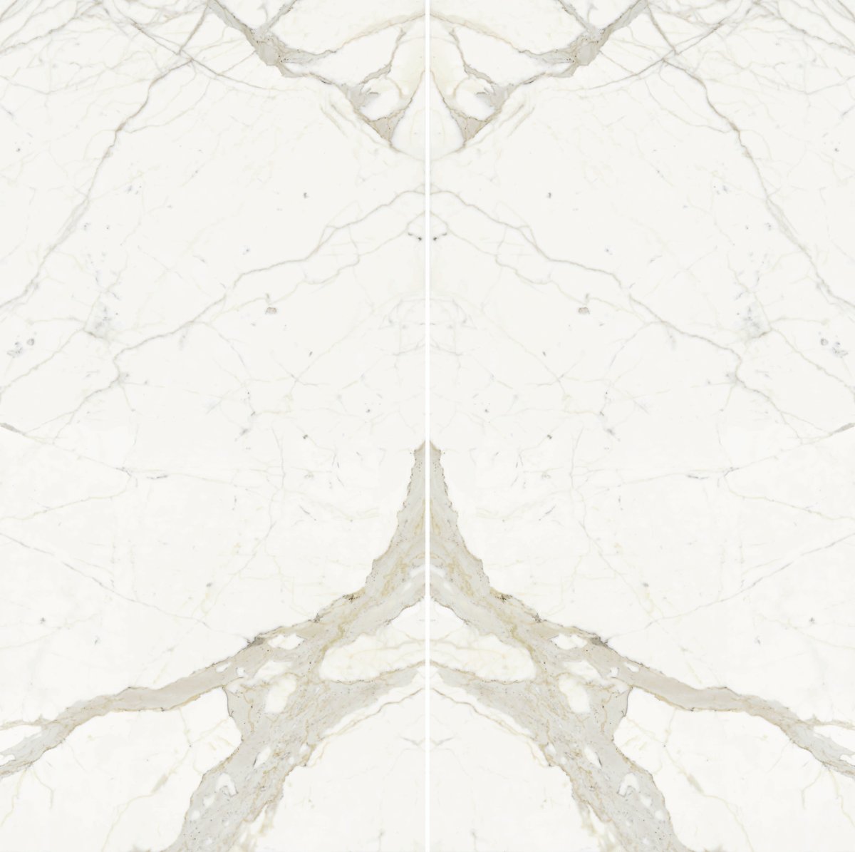 Calacatta Viola Marble