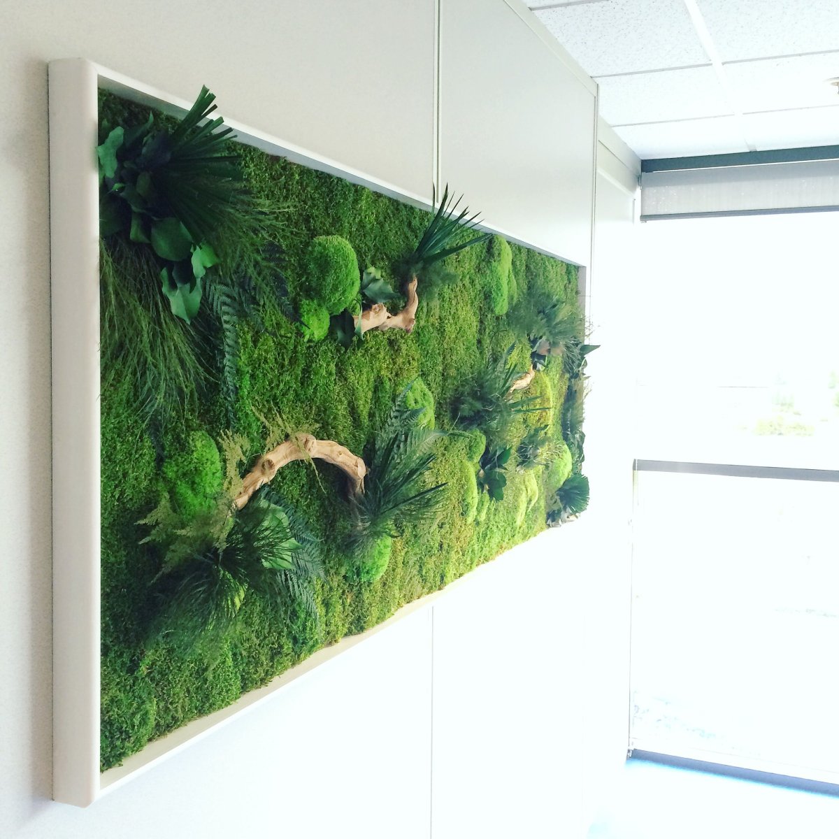 Фитокартины из стабилизированного мха