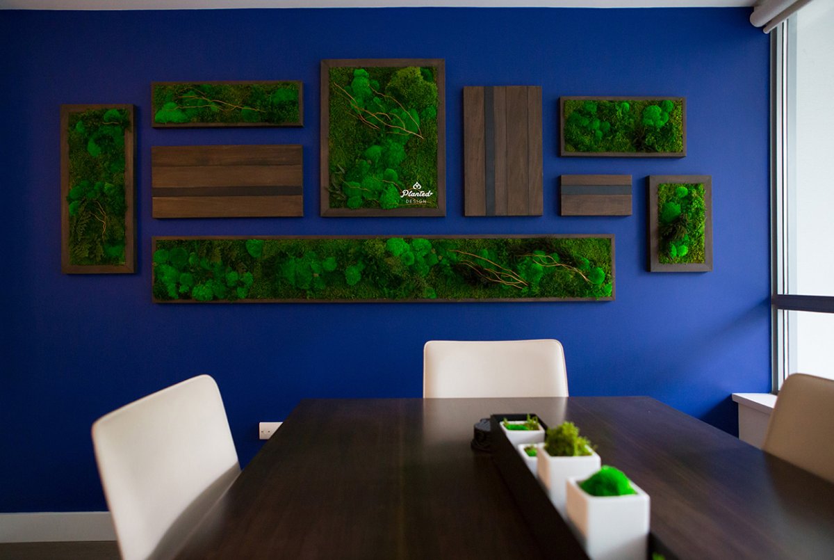 Панно из мха с подсветкой