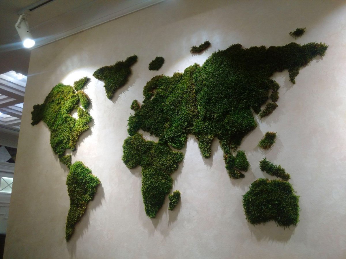 Зелень фитостена