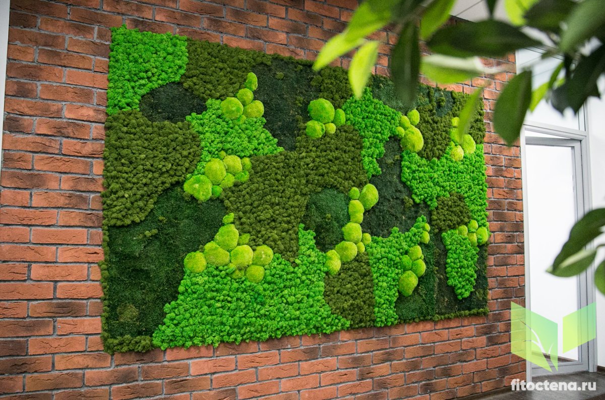 Фитостена джунгли