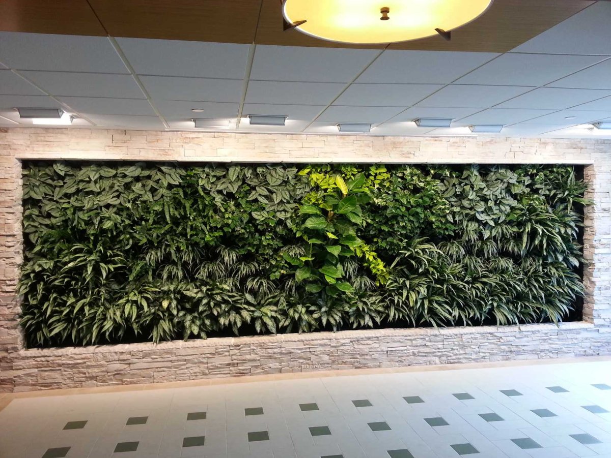 Фитокартина из стабилизированного мха