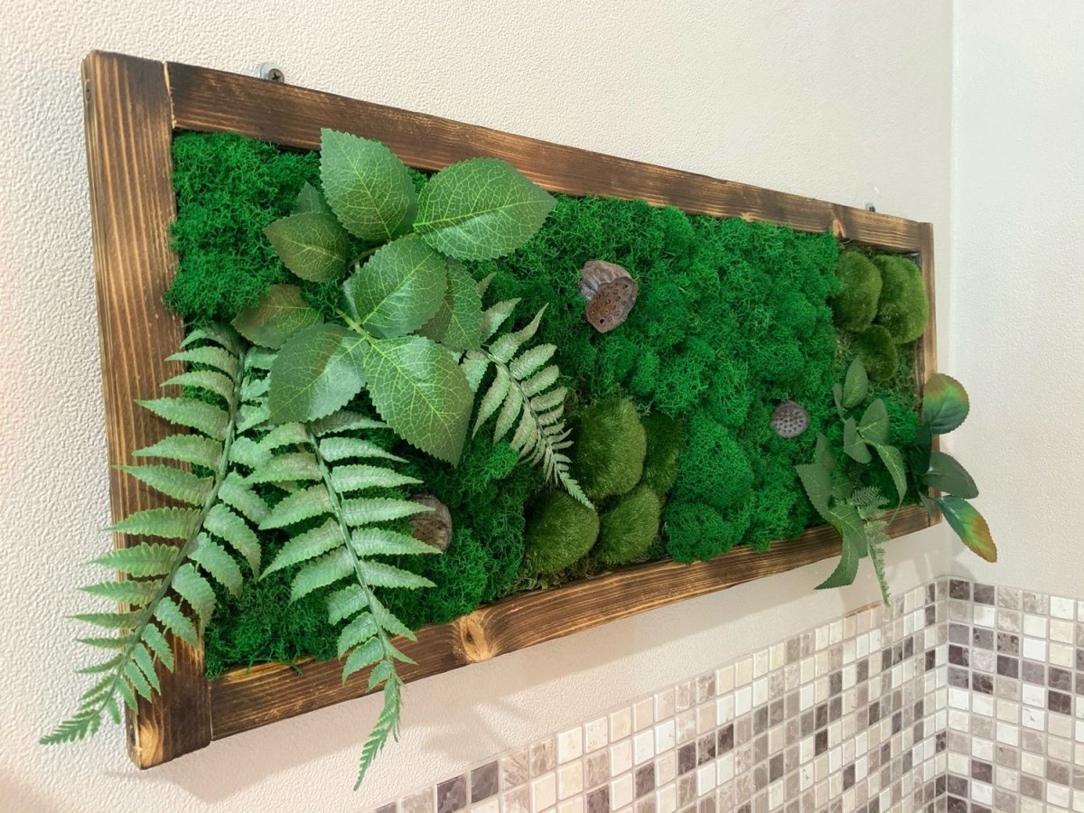 Фитокартина мох шишки