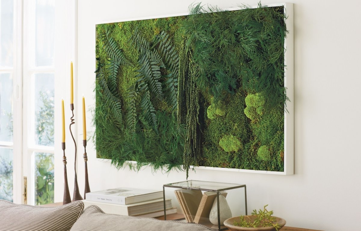 Растения на стене в интерьере