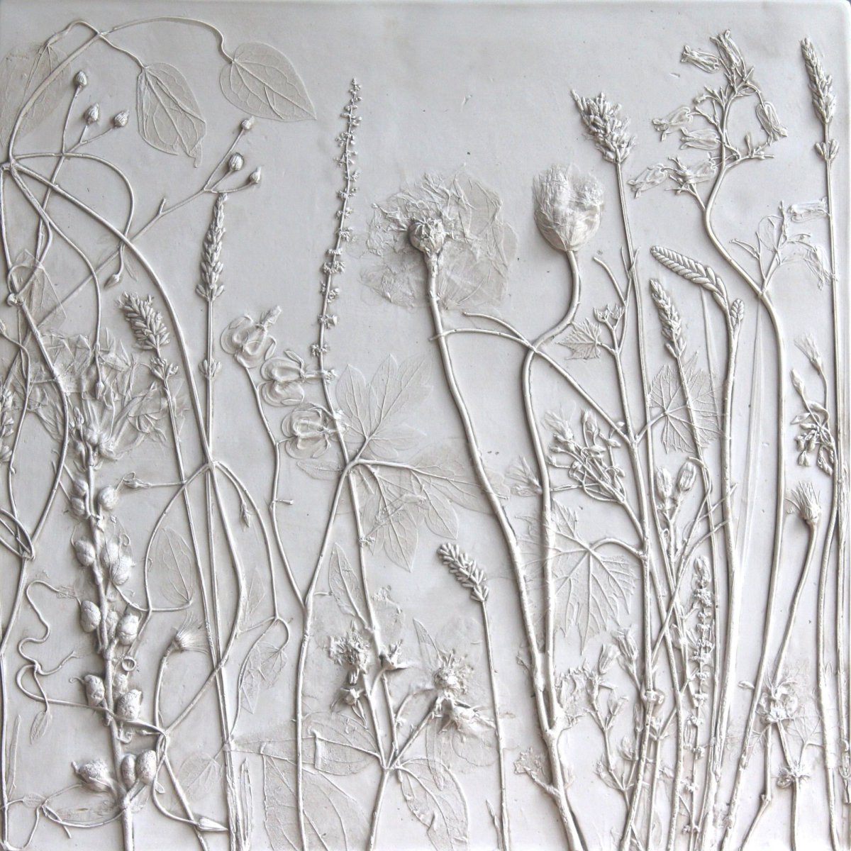 Гиацинт Ботанический барельеф