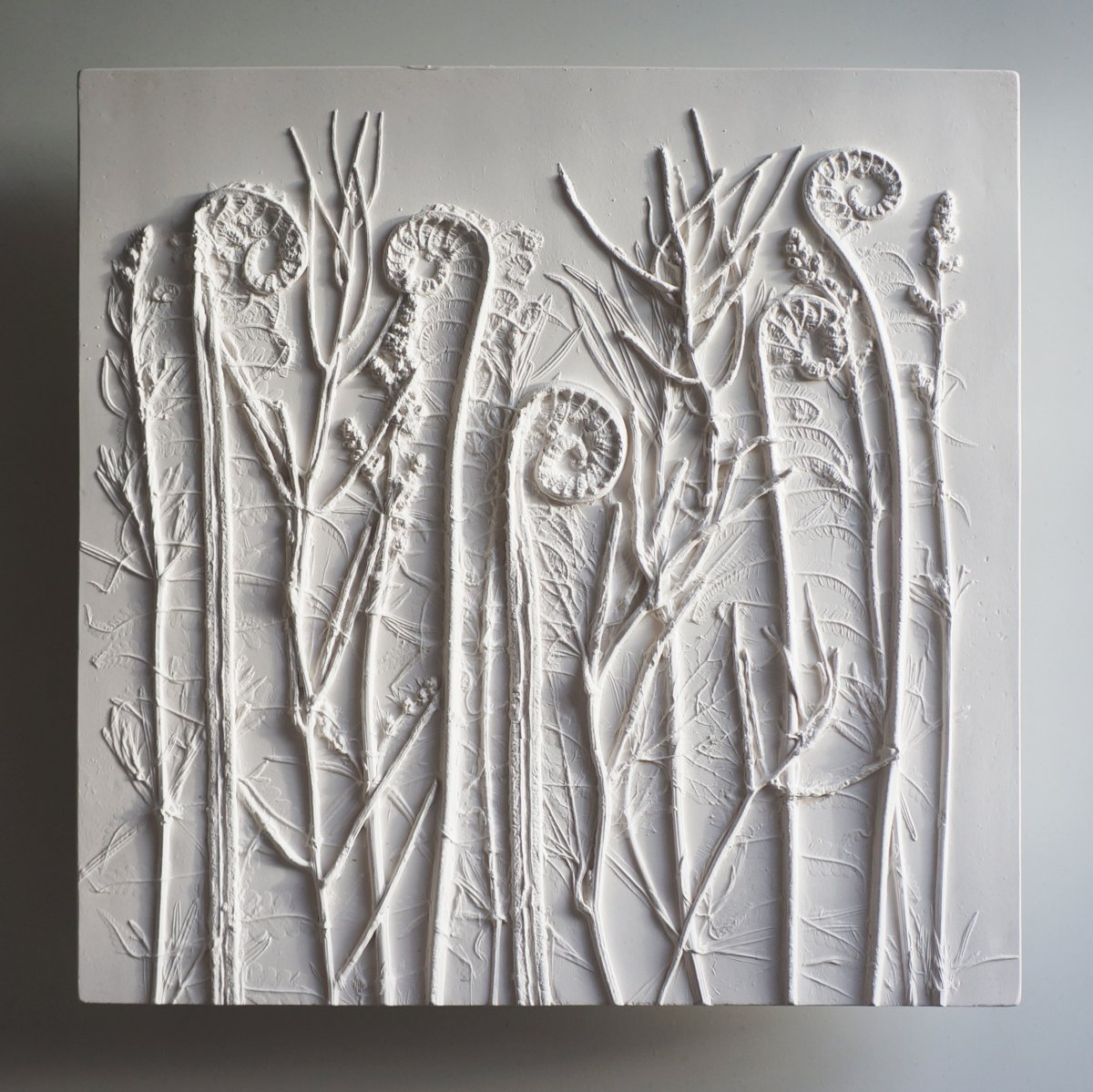 Робинсон Ботанический барельеф