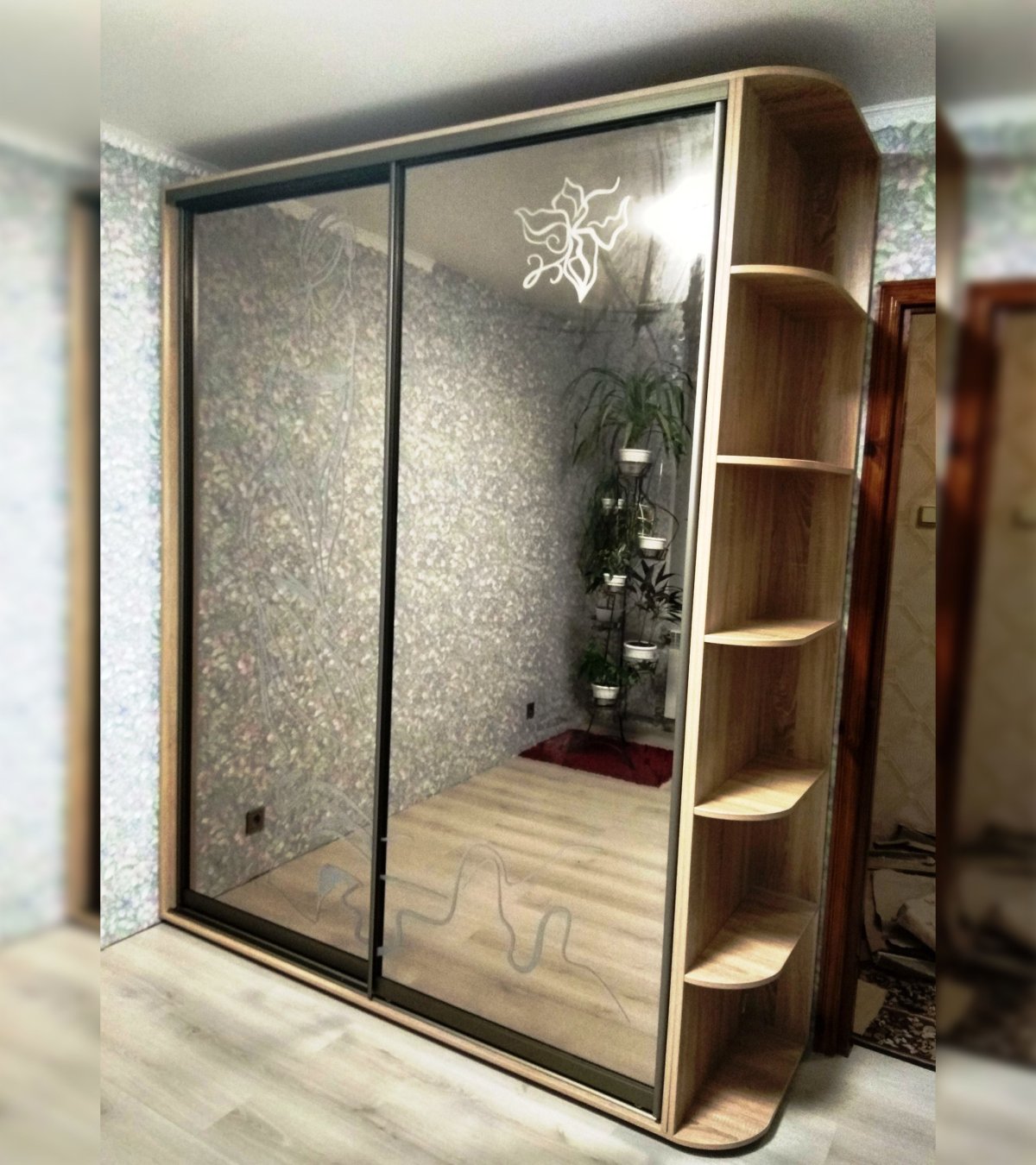 Шкаф купе Пикар