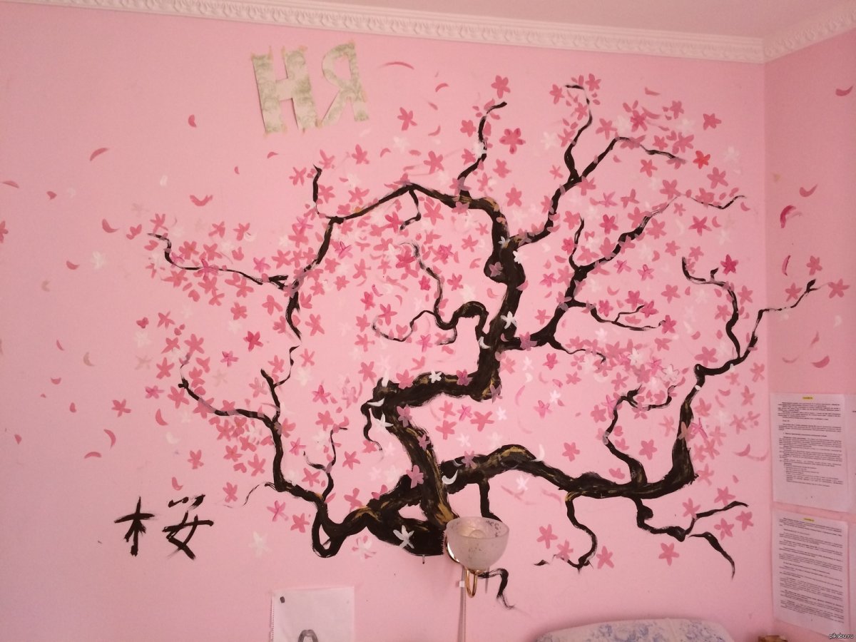Дерево Сакуры на стене