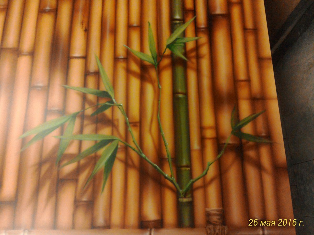 Панно из настенной пробки бамбук