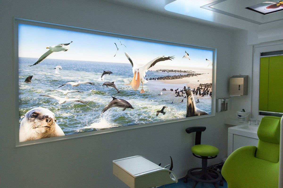 Витражные стекла для кухонных фартуков