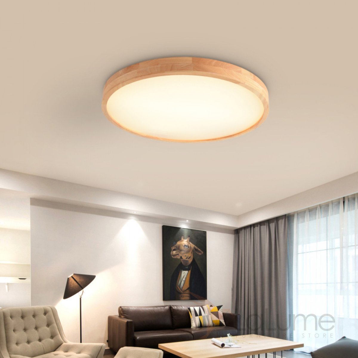 Светильник светодиодный Ceiling Lamp
