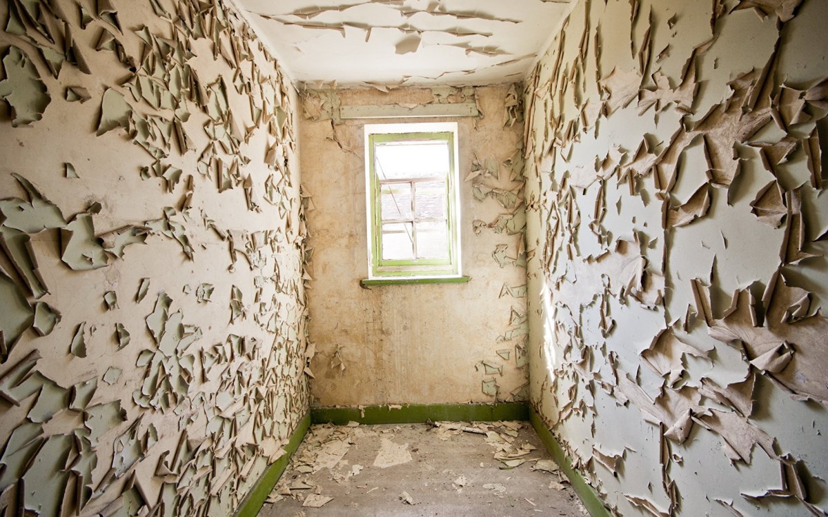 Оригинальный декор стен