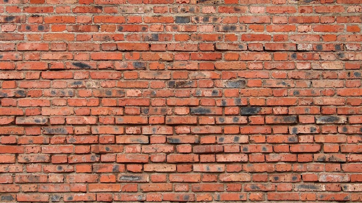 Обои на стену