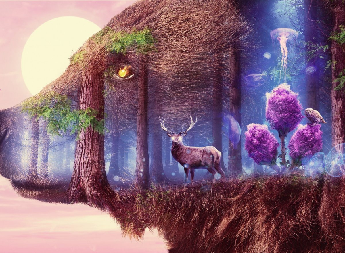 Фэнтези природа