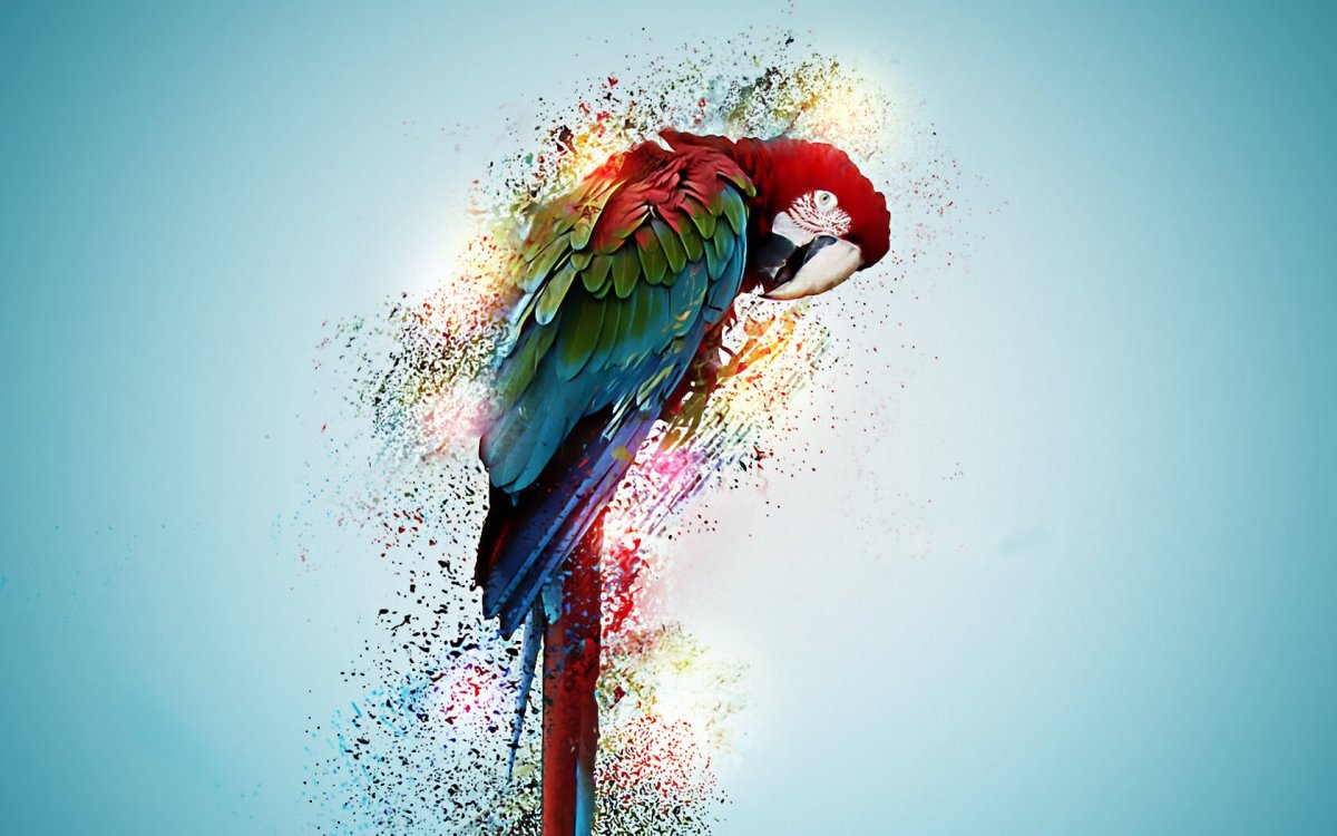 Оригинальные необычные обои