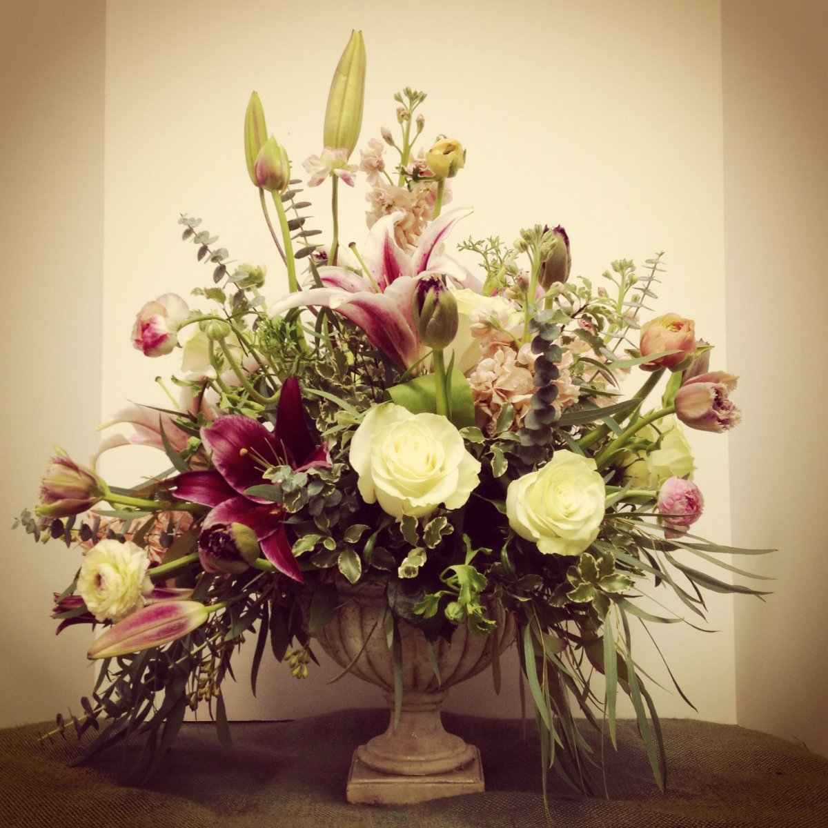 Роза Альдо флористика