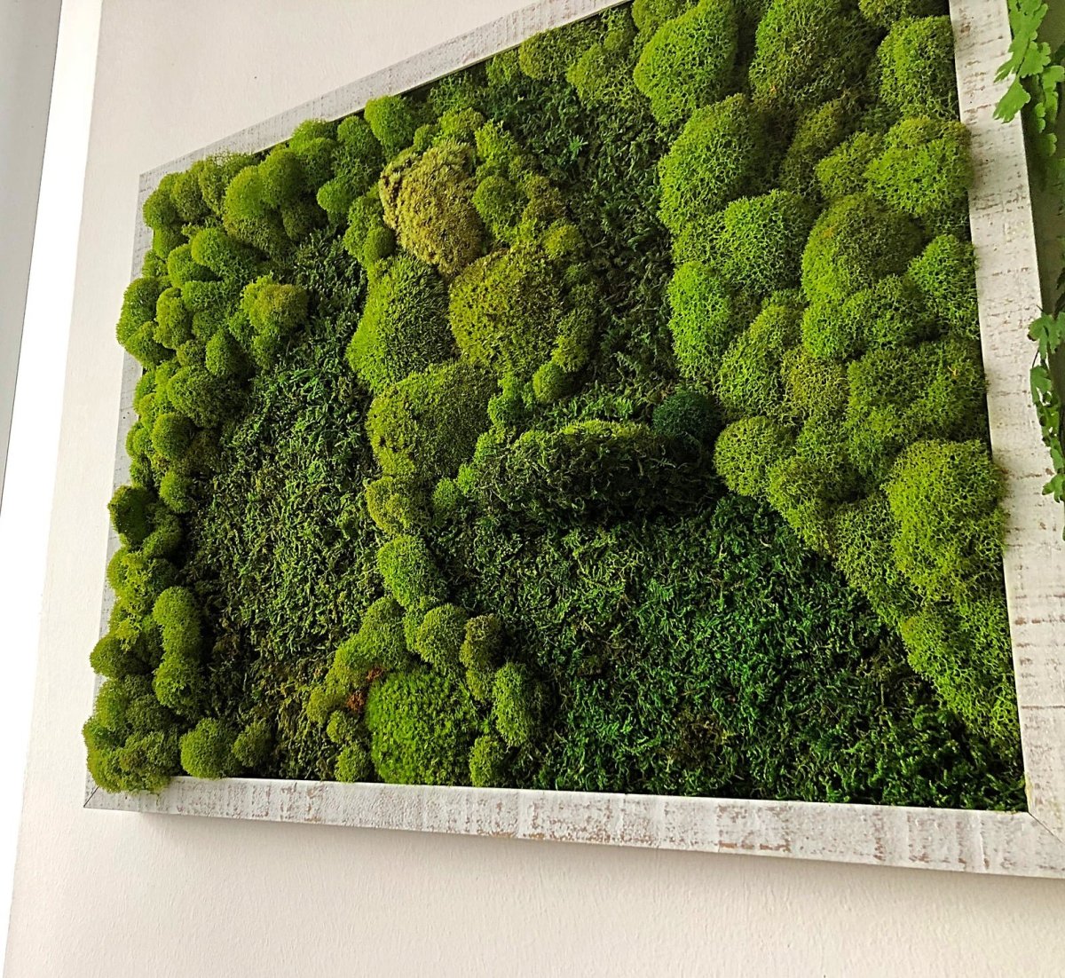 Панно из стабилизированного мха