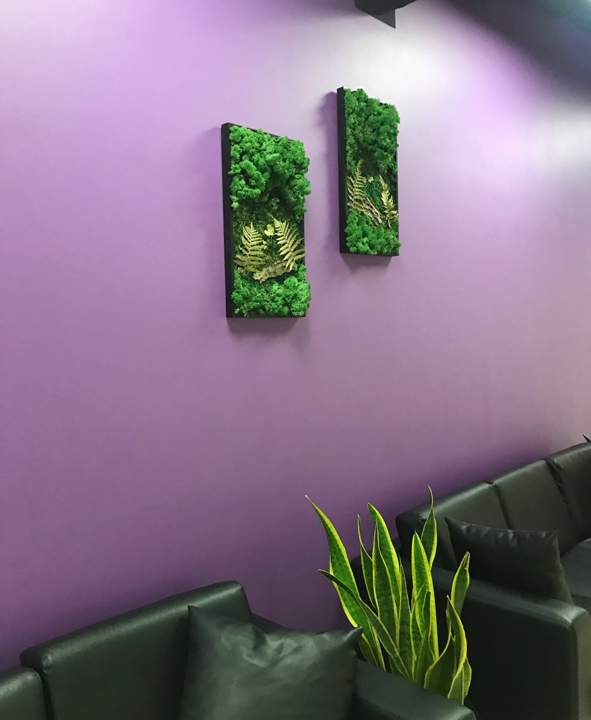 Живая фитокартины зеленый остров