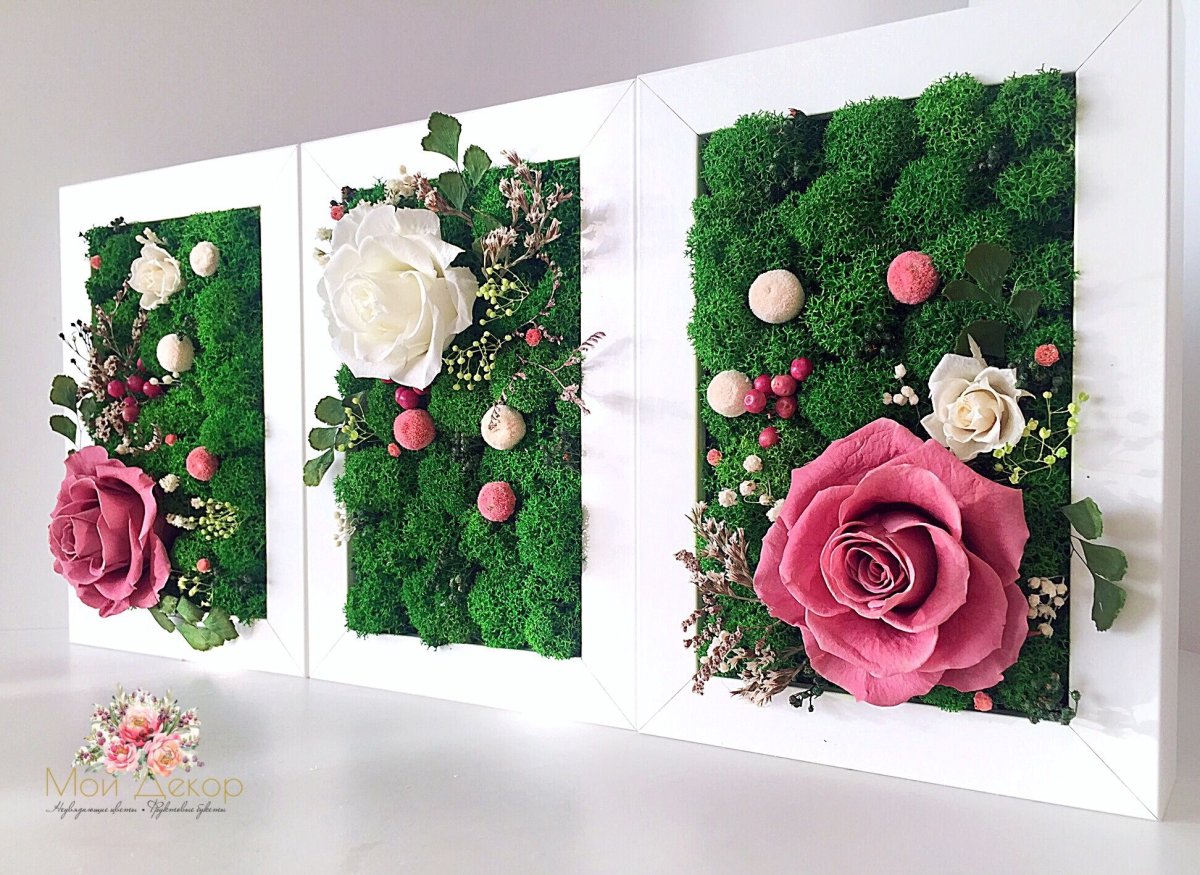 Фитокартина мох растения