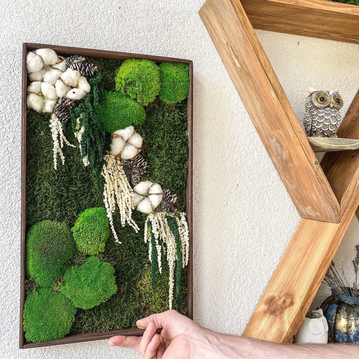 Фитопанели мох