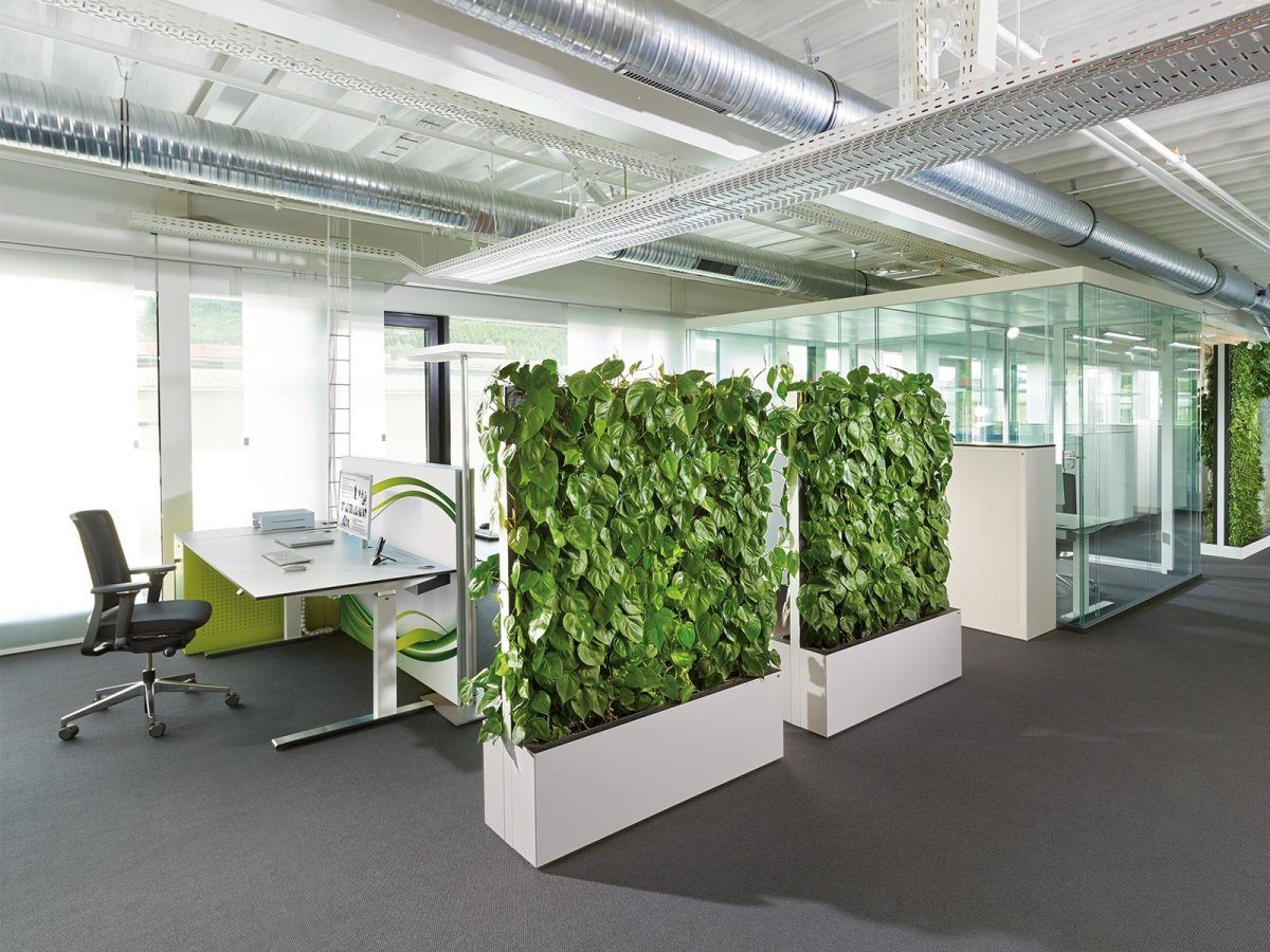Офис опен Спейс растения