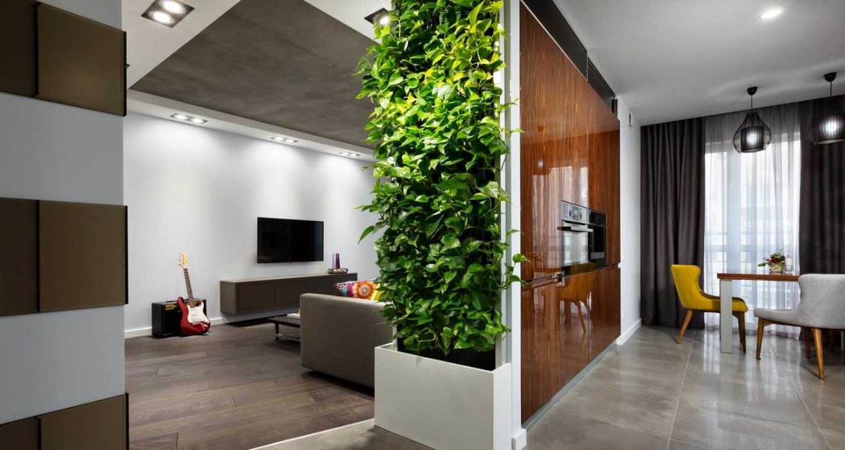 Неоклассика фитостена