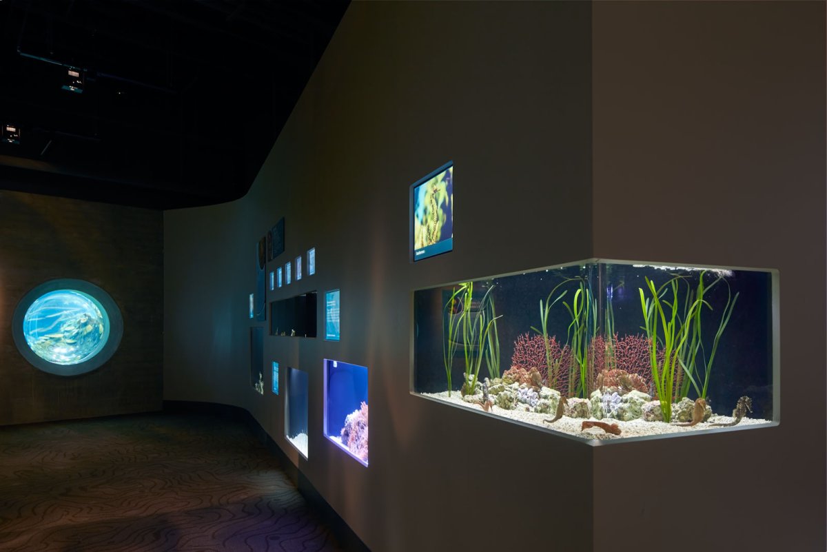 Atman BGT-25 аквариум