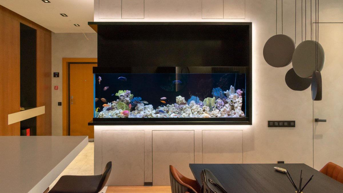 Аквариумы в нишах