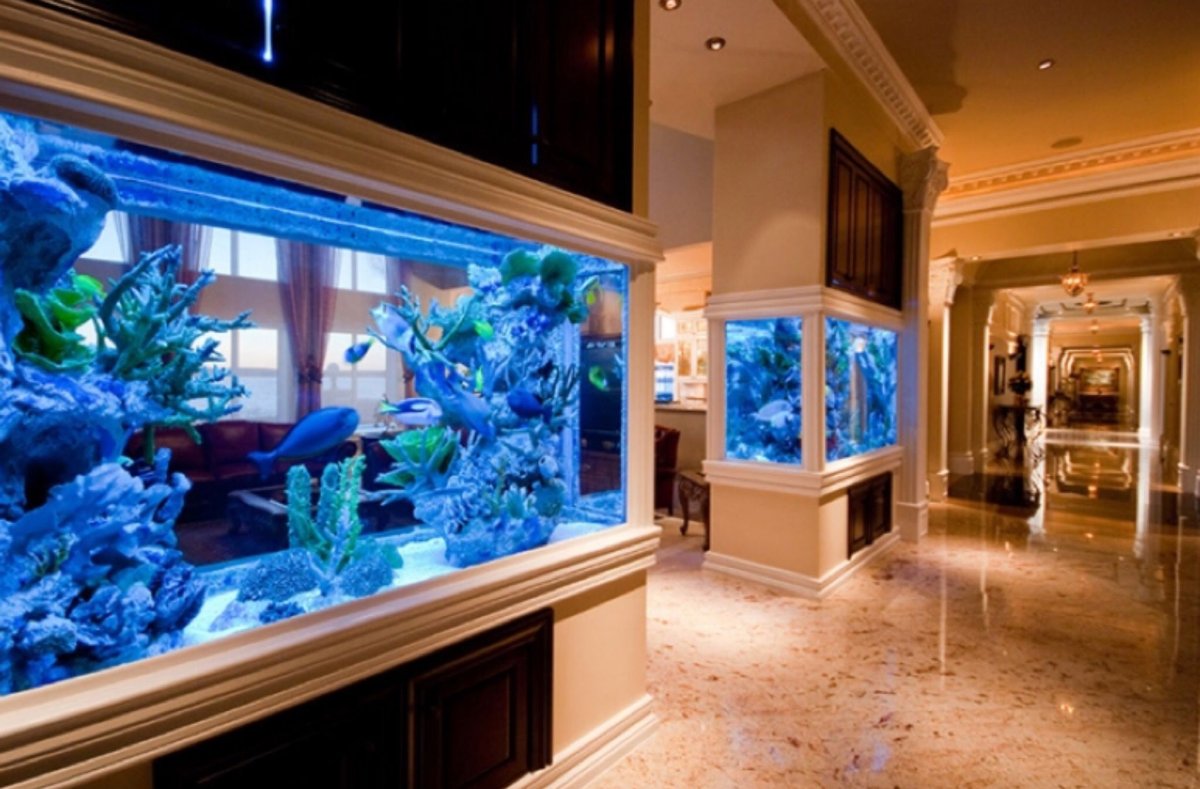 Морской аквариум в стене