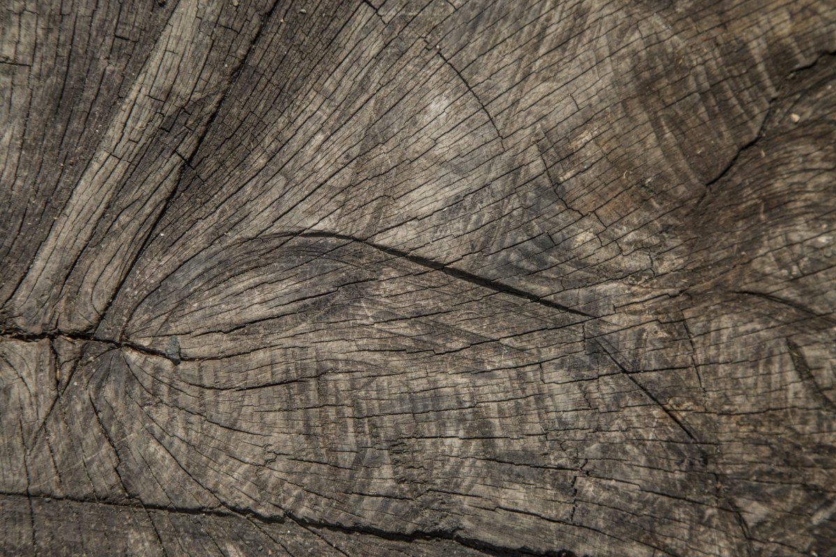 Потертости на дереве