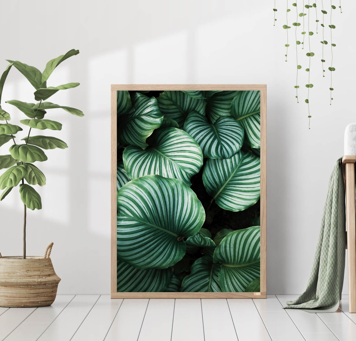 Монстера в интерьере