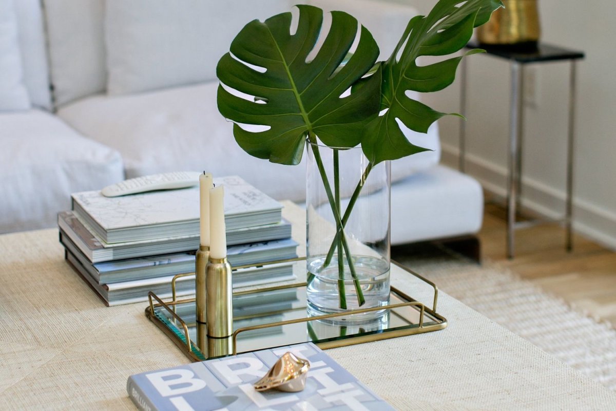 Ветки монстеры в интерьере