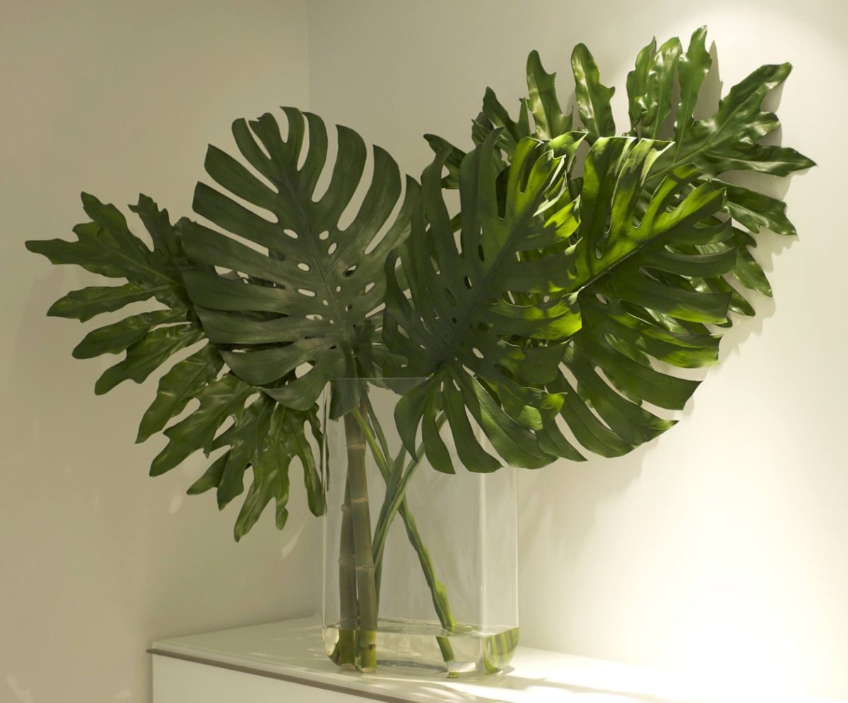 Монстера арт принт