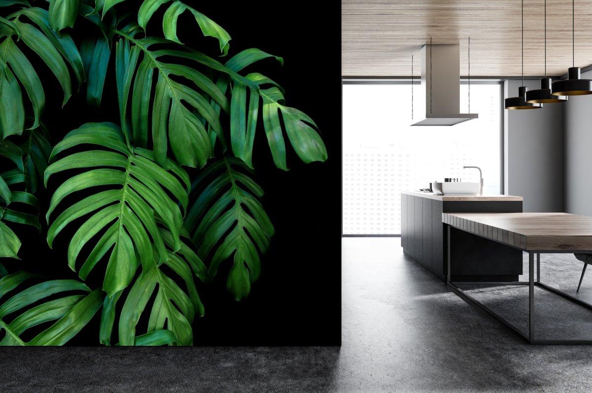 Монстера в аквариумистике