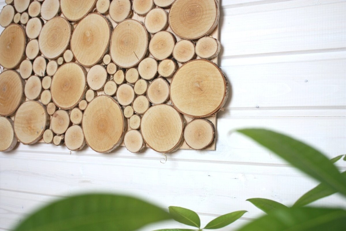 Березовый спил для декора