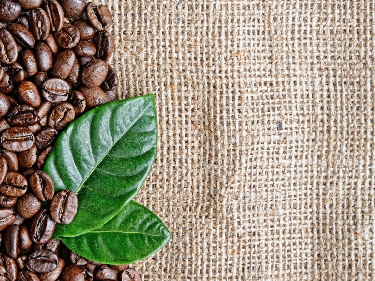 Панно с кофейными зернами