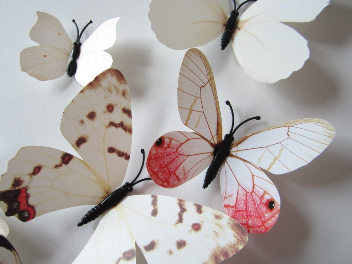 Бабочки для украшения