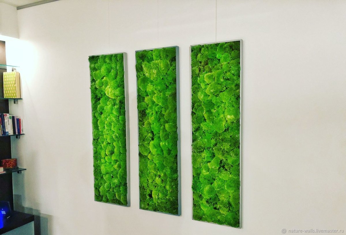 Панно на стену из мха
